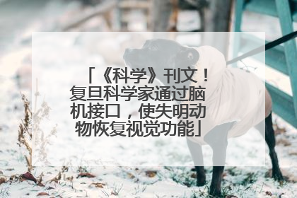 《科学》刊文！复旦科学家通过脑机接口，使失明动物恢复视觉功能