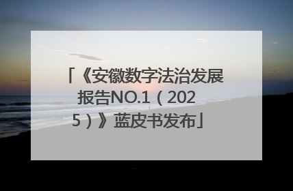 《安徽数字法治发展报告NO.1（2025）》蓝皮书发布