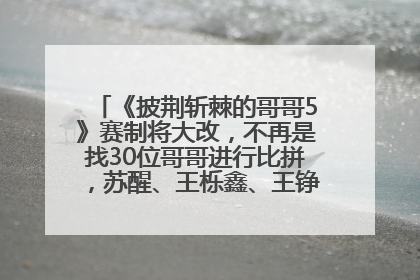 《披荆斩棘的哥哥5》赛制将大改，不再是找30位哥哥进行比拼，苏醒、王栎鑫、王铮亮、张远等多名男团选手被曝将参加