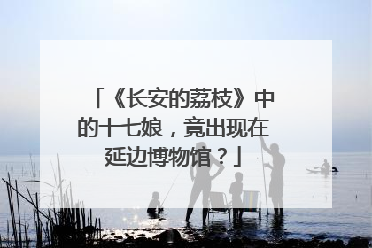 《长安的荔枝》中的十七娘，竟出现在延边博物馆？