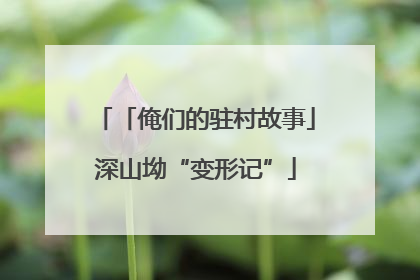 「俺们的驻村故事」深山坳“变形记”