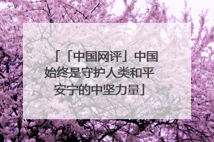 「中国网评」中国始终是守护人类和平安宁的中坚力量