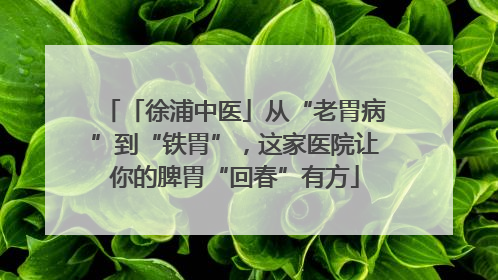 「徐浦中医」从“老胃病”到“铁胃”，这家医院让你的脾胃“回春”有方