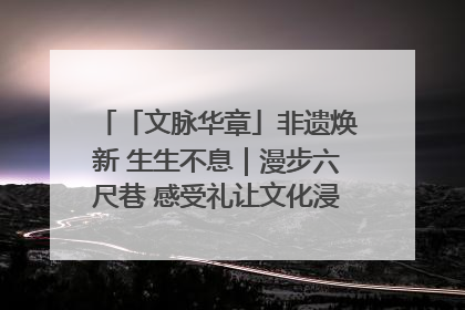 「文脉华章」非遗焕新 生生不息｜漫步六尺巷 感受礼让文化浸润的“巷”往生活