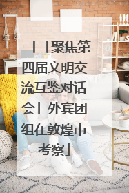 「聚焦第四届文明交流互鉴对话会」外宾团组在敦煌市考察