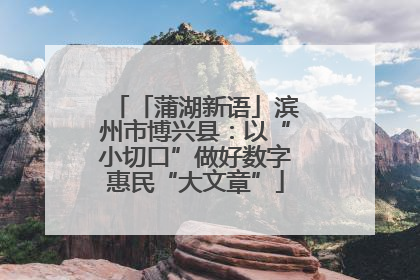 「蒲湖新语」滨州市博兴县：以“小切口”做好数字惠民“大文章”