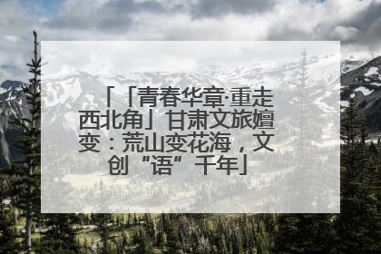 「青春华章·重走西北角」甘肃文旅嬗变：荒山变花海，文创“语”千年