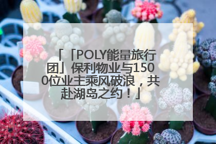 「POLY能量旅行团」保利物业与1500位业主乘风破浪，共赴湖岛之约！