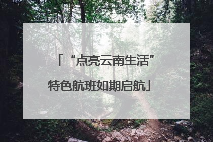 “点亮云南生活”特色航班如期启航