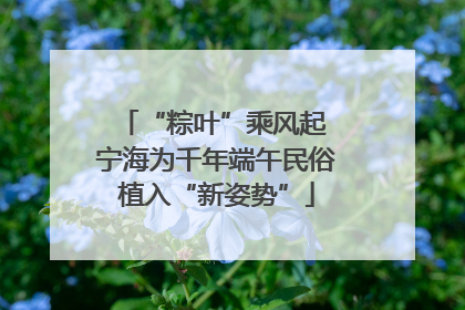 “粽叶”乘风起 宁海为千年端午民俗植入“新姿势”