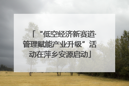 “低空经济新赛道·管理赋能产业升级”活动在萍乡安源启动