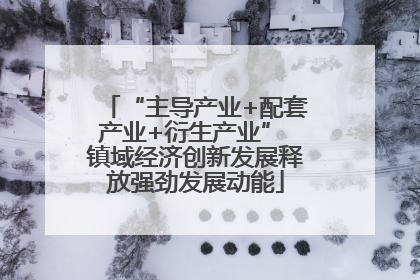 “主导产业+配套产业+衍生产业” 镇域经济创新发展释放强劲发展动能