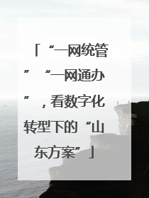 “一网统管”“一网通办”，看数字化转型下的“山东方案”