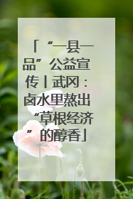 “一县一品”公益宣传丨武冈：卤水里熬出“草根经济”的醇香