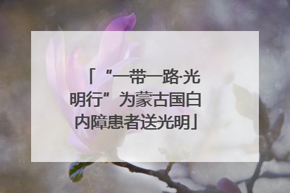 “一带一路·光明行”为蒙古国白内障患者送光明