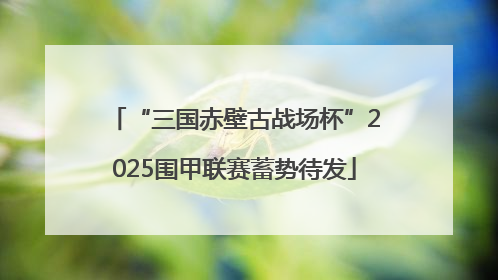“三国赤壁古战场杯”2025围甲联赛蓄势待发