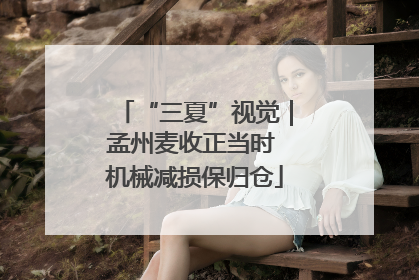 “三夏”视觉｜孟州麦收正当时 机械减损保归仓