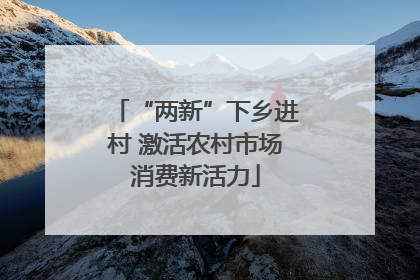 “两新”下乡进村 激活农村市场消费新活力