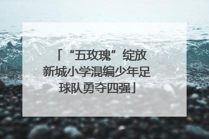 “五玫瑰”绽放 新城小学混编少年足球队勇夺四强
