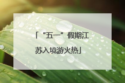 “五一”假期江苏入境游火热