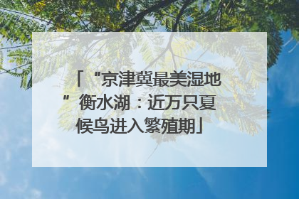 “京津冀最美湿地”衡水湖：近万只夏候鸟进入繁殖期