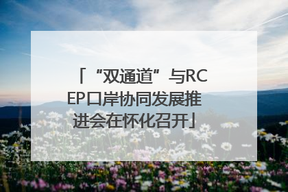 “双通道”与RCEP口岸协同发展推进会在怀化召开