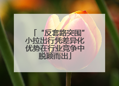 “反套路突围”小拉出行凭差异化优势在行业竞争中脱颖而出