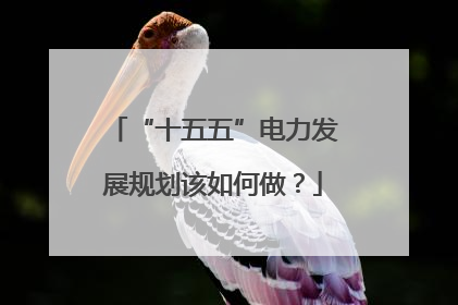 “十五五”电力发展规划该如何做？
