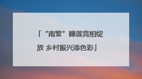 “南繁”睡莲竞相绽放 乡村振兴添色彩