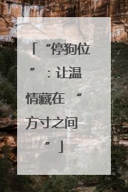 “停狗位 ”：让温情藏在 “方寸之间 ”