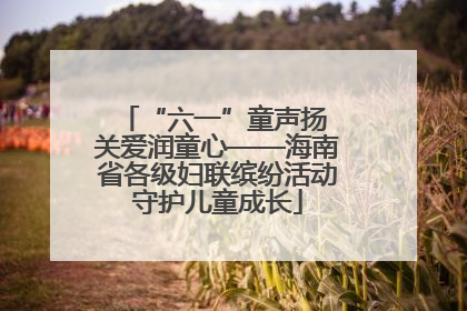 “六一”童声扬 关爱润童心——海南省各级妇联缤纷活动守护儿童成长