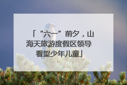 “六一”前夕，山海天旅游度假区领导看望少年儿童
