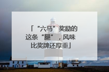 “六马”奖励的这条“腿”，风味比奖牌还厚重
