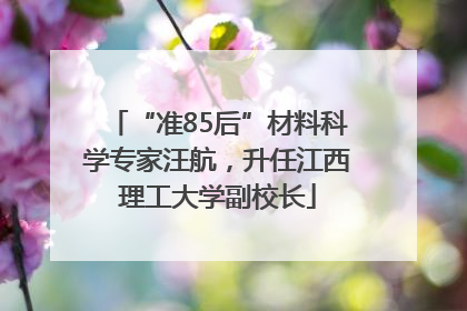 “准85后”材料科学专家汪航，升任江西理工大学副校长