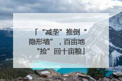 “减垄”推倒“隐形墙”，百亩地“捡”回十亩粮