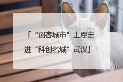 “创客城市”上虞走进“科创名城”武汉