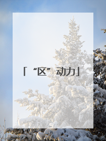 “区”动力