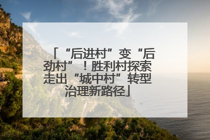 “后进村”变“后劲村”！胜利村探索走出“城中村”转型治理新路径