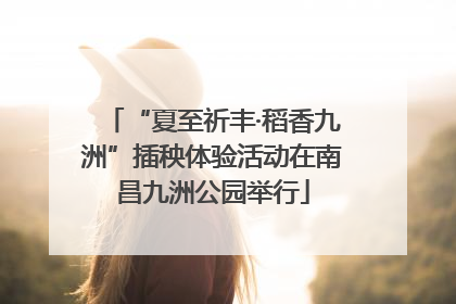 “夏至祈丰·稻香九洲”插秧体验活动在南昌九洲公园举行
