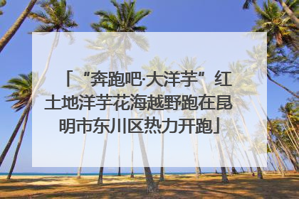 “奔跑吧·大洋芋”红土地洋芋花海越野跑在昆明市东川区热力开跑