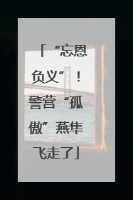 “忘恩负义”！警营“孤傲”燕隼飞走了