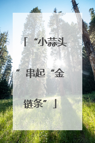 “小蒜头”串起“金链条”