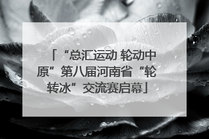 “总汇运动 轮动中原”第八届河南省“轮转冰”交流赛启幕