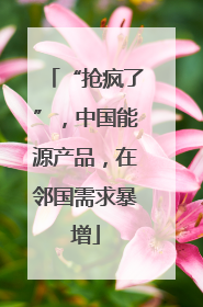 “抢疯了”，中国能源产品，在邻国需求暴增