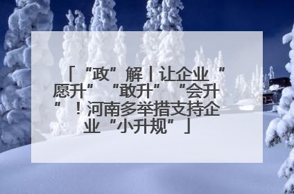 “政”解丨让企业“愿升”“敢升”“会升”！河南多举措支持企业“小升规”