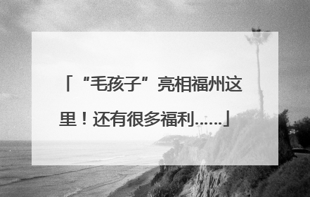 “毛孩子”亮相福州这里！还有很多福利……