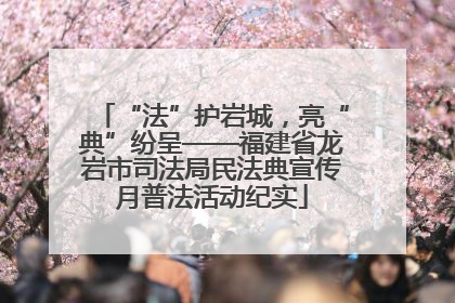 “法”护岩城，亮“典”纷呈——福建省龙岩市司法局民法典宣传月普法活动纪实