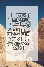 “菜篮子”里的温暖！盐城亭湖区文峰街道西苑社区联合菜场打造便民服务新体验
