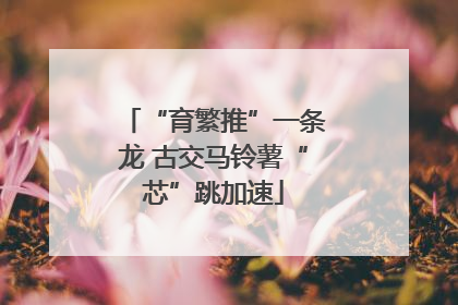 “育繁推”一条龙 古交马铃薯“芯”跳加速
