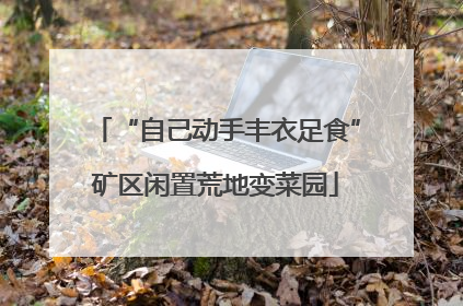 “自己动手丰衣足食”矿区闲置荒地变菜园